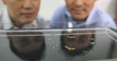 This tiny robot can jump from water without making a splash