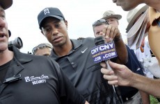 Tiger won't dominate again, insists Donald