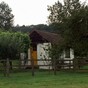Campaign to save Roald Dahl's 'little nest' writing hut