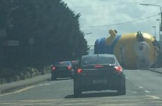 Ropes to the runaway giant Minion 'appeared to have been cut'