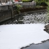 Company fined after detergent leak kills thousands of fish on the River Tolka