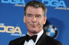 Pierce Brosnan stopped at airport after trying to bring knife on a plane
