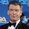 Pierce Brosnan stopped at airport after trying to bring knife on a plane