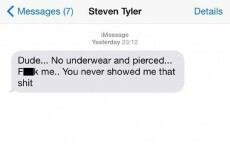 Lenny Kravitz finally responded to #PenisGate, by sharing this text