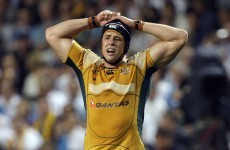 Former Australian international to replace Paul O'Connell at Munster