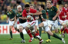 Choice cuts: do you agree with our Rugby World Cup team of the week