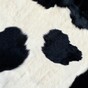 Woman in cow-print onesie holds man at gunpoint in 3am robbery