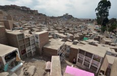 This whole community lives in a sprawling South American graveyard