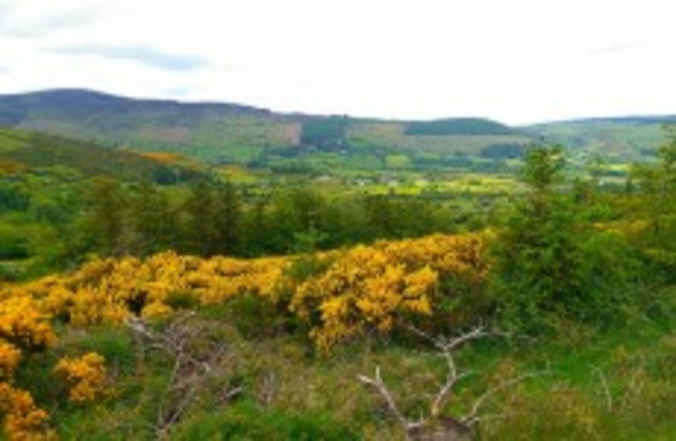 Dublin Mountains Way named one of the most scenic walks in the world