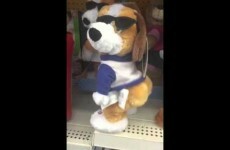 Here's one toy dog you definitely won't be seeing on the Toy Show this year
