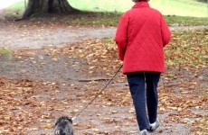 An elderly woman squeezed a man's testicles after he hit her when she was walking her dog