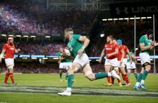 Schmidt's Ireland make powerful start to World Cup prep with victory in Wales
