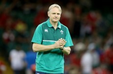'They're not great conversations to have' - Schmidt prepares to cut 7 Irish players