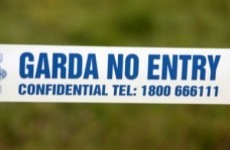 Man charged over shots fired at Meath house