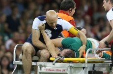 Ireland suffer injury setback as Munster flanker ruled out of World Cup