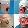 So dentists' training dummies are the most horrifying things on the planet