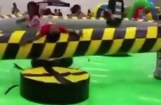 Here’s what went viral today: Tuesday