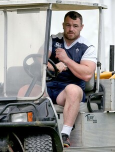 Fitzgerald and Moore back in contention as Ireland release two players