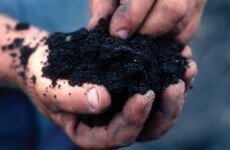 People around the world could make a tidy sum by sending one startup their soil