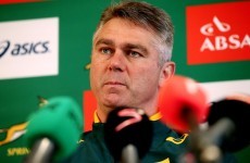 South African trade union launches explosive attack on 'racist' coach Heyneke Meyer