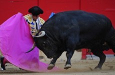 Spanish bullfighter in serious condition after being gored in groin