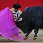 Spanish bullfighter in serious condition after being gored in groin