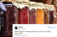 Jam Making is every Leaving Cert's 'last resort', but is it even a real CAO course?