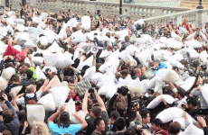 More than 8000 people are going to a giant pillow fight in Phoenix Park