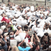 More than 8000 people are going to a giant pillow fight in Phoenix Park