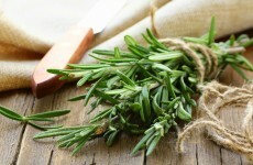 Many of the herbs the high street charge a fortune for are sitting, free, under our very noses
