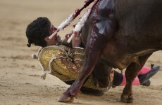 Four people were gored to death by bulls over the weekend