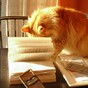 Watch: What is the best book you've read this year?