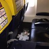 Ryanair passenger forced to sit next to vomit on 1.5 hour flight says he was 'definitely conscious of the smell'