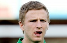 All you need to know about the newest member of the Ireland squad