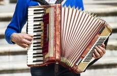 €5,000 accordion stolen from pub during the Rose of Tralee