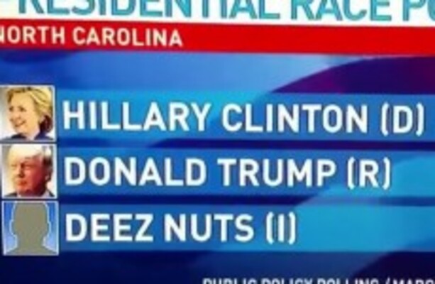 Who is Deez Nuts and why is he polling so well in the United States?