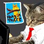 These two cats have become the true heroes of Snapchat