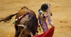 Death in the bull ring, baseball in prison and the week's best sportswriting
