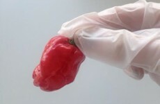 Here’s what happened when we tasted the hottest pepper to go on sale in Ireland