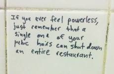 10 of the finest motivational quotes ever to be found on a toilet wall