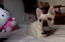 Here's what went viral today: Friday