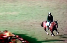 Cian O'Connor pays the price for battling on after equestrian governing body reject appeal