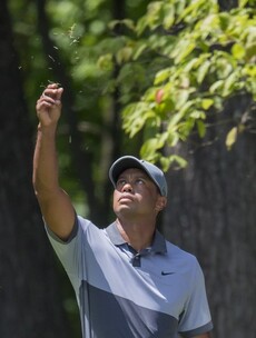 Missed putt on 18 leaves Tiger Woods 2 shots back of Wyndham leader