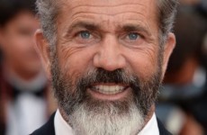 Police investigating after Mel Gibson 'shoved' and 'spat on' photographer