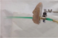 Scientists built a vomit machine to study how a nasty stomach bug makes people sick