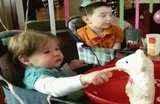 14 GIFs that will make you laugh every single time
