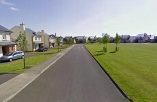 Woman found stabbed to death outside Roscommon house