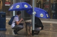 Two kind strangers came to the aid of a dog left out in the pouring rain