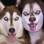 Everyone is mildly terrified by this woman's incredible makeup transformation