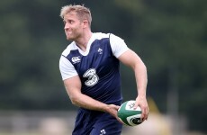 Fitzgerald at 13 as Schmidt brings back Ireland frontliners for Wales